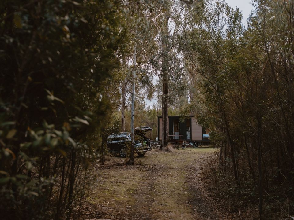 Story image 12